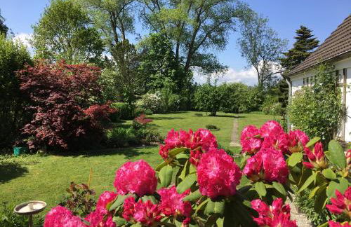Ferienhaus Scholien - Foto 3