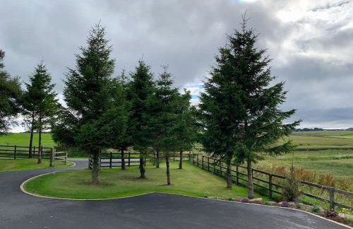 The Byre @ Cow Close - Stay, Rest and Play in the Dales. - Photo 11