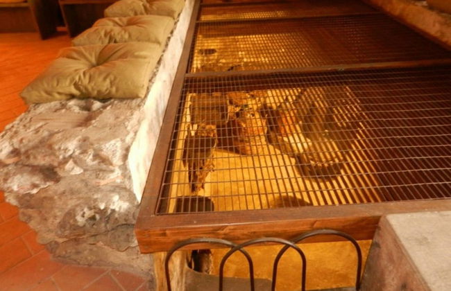 Agriturismo Fontanelle - Foto 60