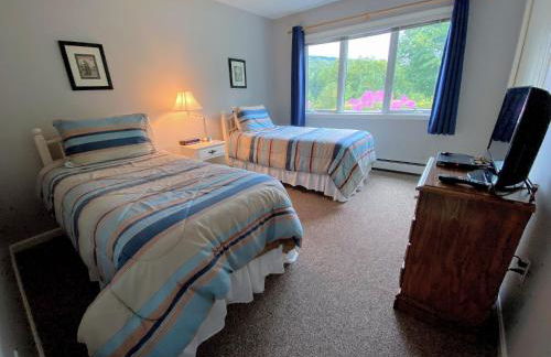 FV50 Pet friendly single level home in Bretton Woods walk to golf course and Mt Washington Hotel - Foto 21