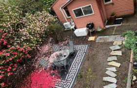 Blue Heron Sanctuary & Serene, river-front cottage - Foto 40