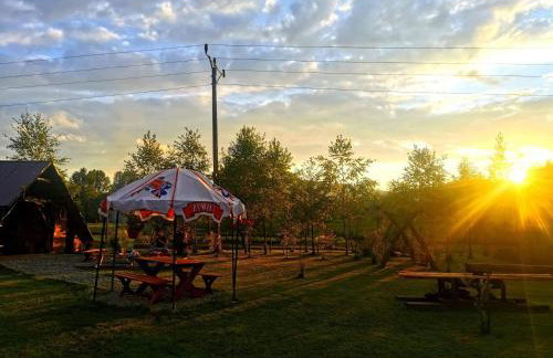 Domki w Bieszczadach - Foto 27