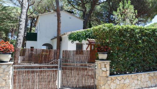 CALSINA BAX 2H - Foto 2