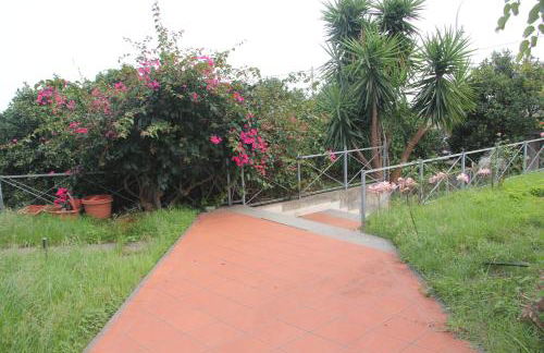 aranceto dell'Etna - Foto 27