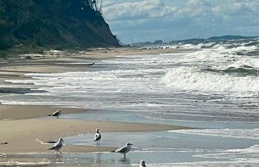 Harmony House - Photo 19