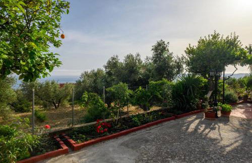 BUENA VISTA studios - Foto 48