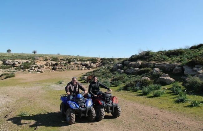 Bio et Bois - Foto 59