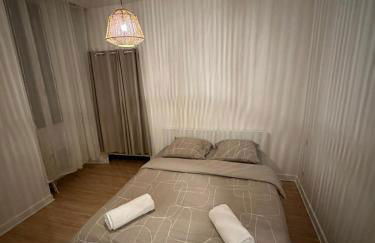 Appartement de 60 m2 au centre ville de morez - Foto 4