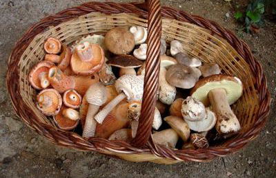 Ca la Pauleta - Foto 80