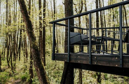 Dziki Las - domki na drzewach - Foto 54