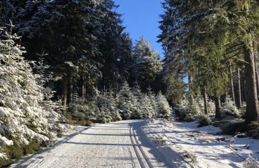 Ferienwohnung Tannenblick 2-1 - Foto 23