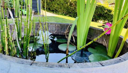 Ferienwohnung Kopf - Foto 3