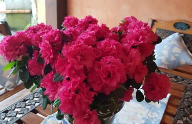 Casa Rural Juntana - Foto 51