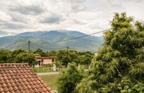 Kalouda Rooms - Foto 5