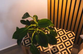 Amber Skies Seafront Retreat - Photo 69