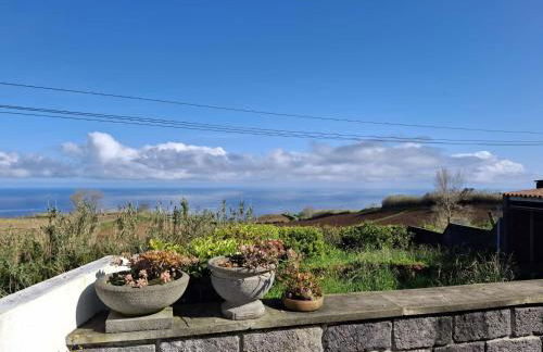 Casa da Boa Vista - Photo 22