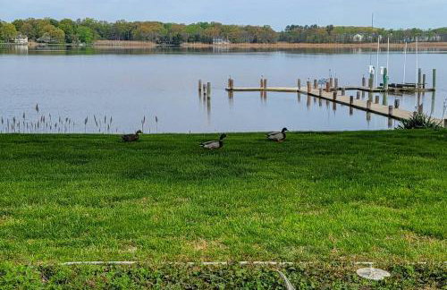 Pet-Friendly Home on Chester River with Dock! - Foto 38