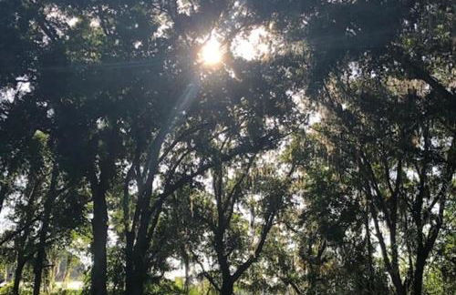 Peaceful Country Retreat - Foto 14