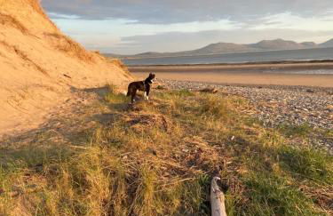Pen llyn holiday cottages and caravan - Foto 13