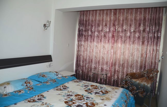 Lan Zhou Long Shang Purple Tulip - Foto 3