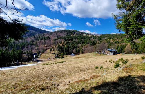 Apartament Mountains Góry Sowie - Foto 47