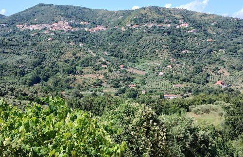 2 Bedroom, 1 Bath apartment near the sea - Foto 8