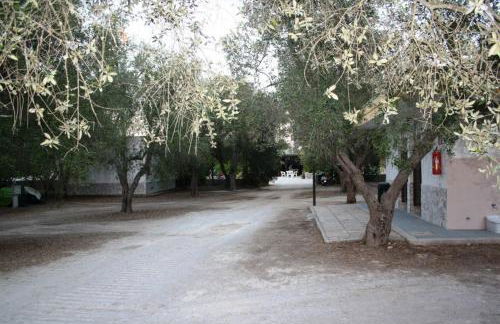 La Carcara - Foto 25