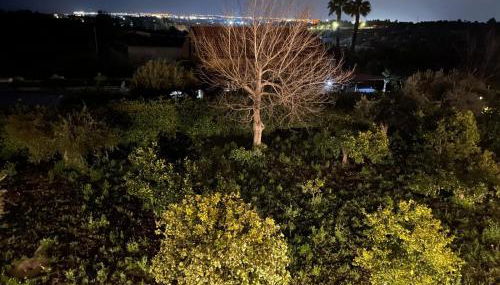 Case Vesta - Foto 5, Garden, Garden view