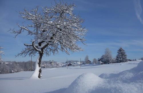Willkommen im Herzen des Allgäus! - Photo 32