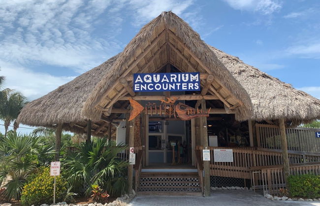 Blue Pearl New Waterfront Haven with Heated Pool ,70 Foot Dock, and More! - Foto 123