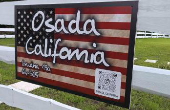 Osada California - Foto 51