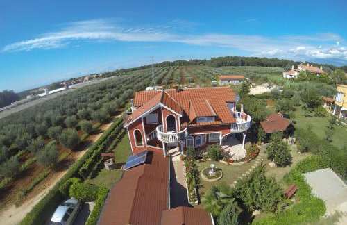 apartma Jelka - Foto 42