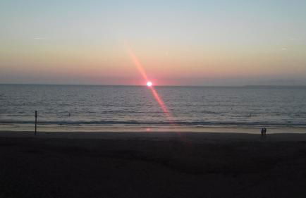 perle rare à énergie positive - Photo 1