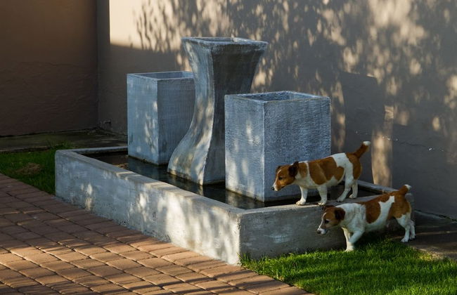 Grasslands Conference and Wedding Venue - Foto 68