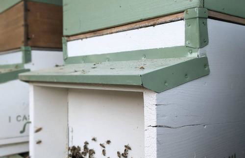 I Casciani - Foto 42