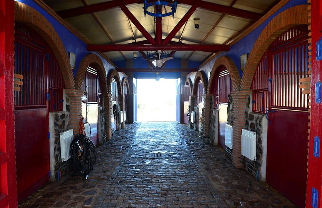 Casa Rural Yeguada Jimenez Latorre - Foto 31