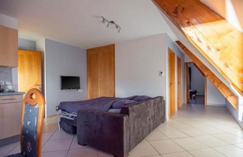 Gîtes Goettelmann Didier - Foto 7