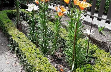 Casa Dos Gomes - Foto 33