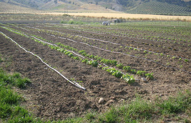 Agriturismo Fieri - Photo 42