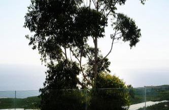 Casa PERSEIDAS - Foto 52