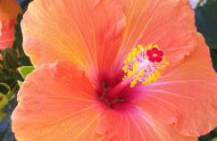 Casa Uldina - Foto 24