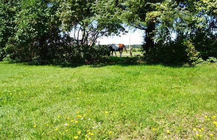 Ferienhäuschen - Foto 38