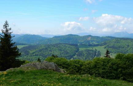 WEITBLICK "entspannen - wohlfühlen - aktiv erholen" - Foto 41