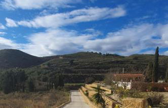 Cresta Azul - Foto 70