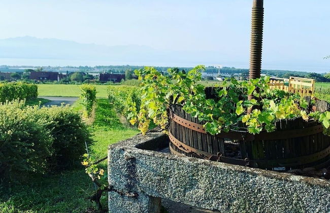 Stunning 6-bed Villa in Etoy - Foto 35