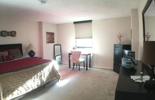 Brooks Tower Downtown Denver Furnished Apartment - Foto 35