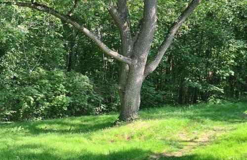 Exklusive Wohnung mit herrlicher Terrasse und Garten - Foto 9