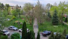 Apartament Sosnowiec - Foto 5, Garden, Garden view