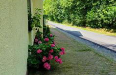 Schöne Wohnung im Naturidyll - Foto 19