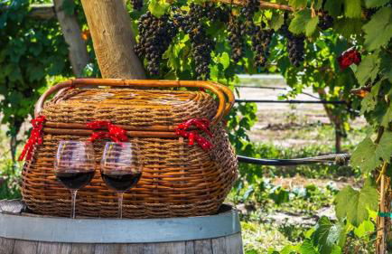 Walker Ridge home - Foto 52